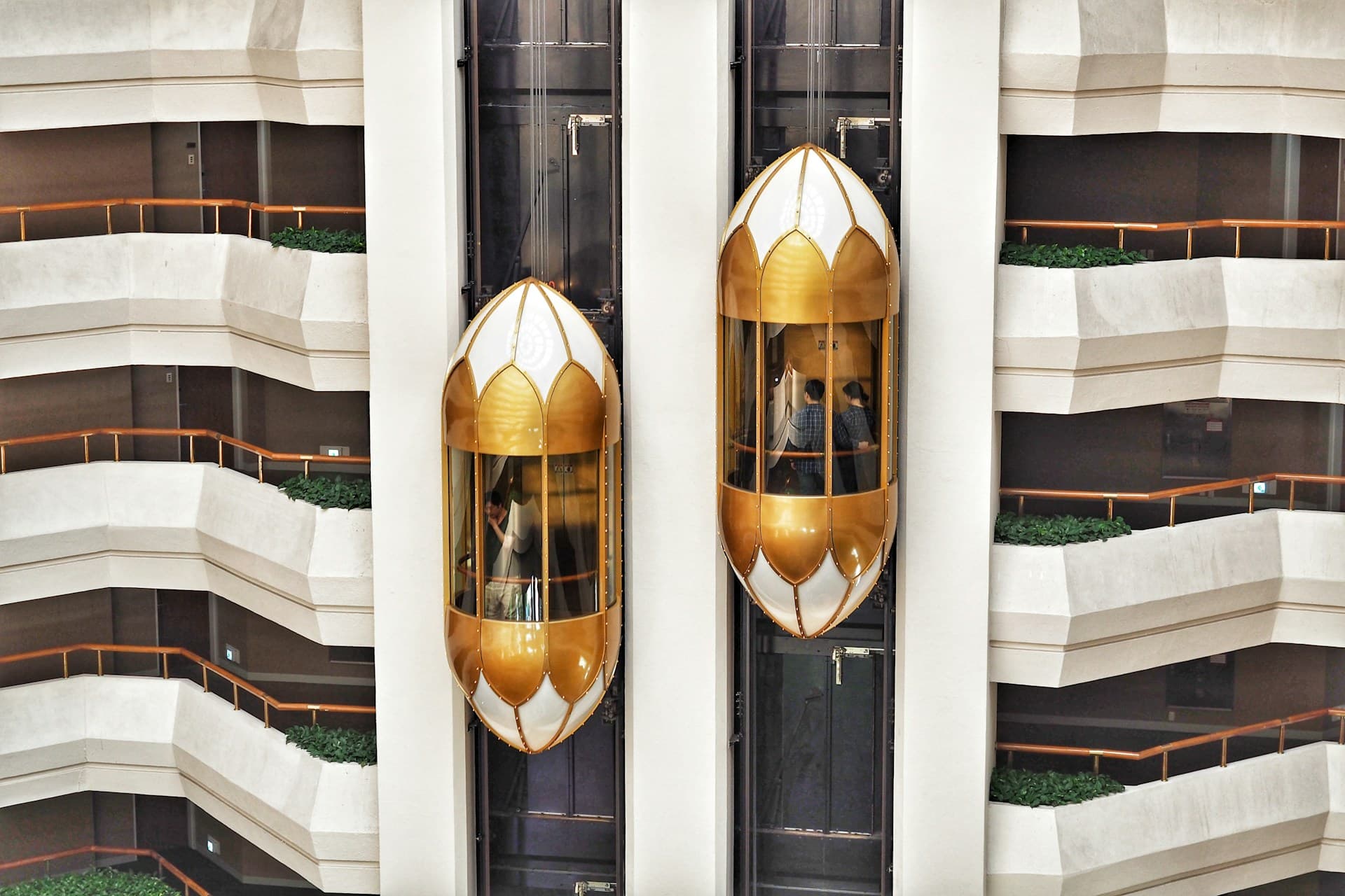 Lift & Escalator